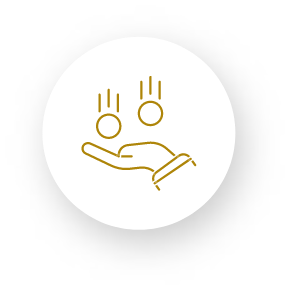 איקון של יד עם שני עיגולים שנראים כמו מטבעות שנזרקים מעלה תכנון פיננסי עתיר זיו